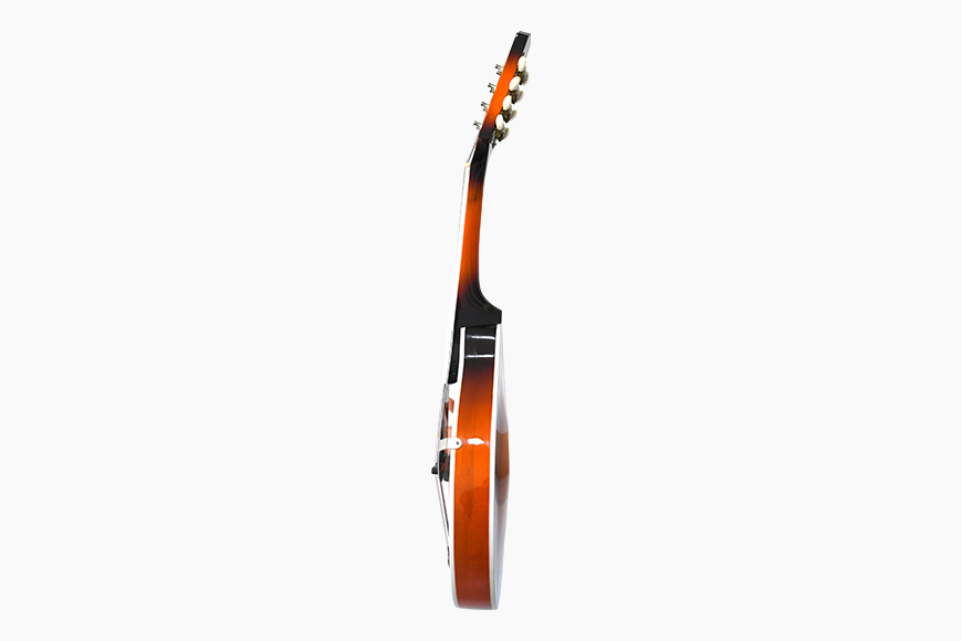 ZYMA-A1 Mandolin