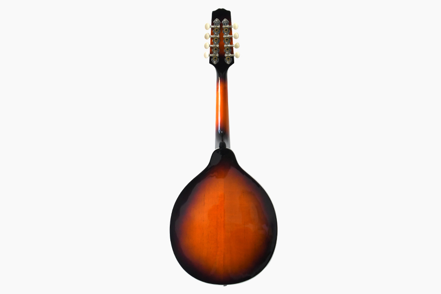 ZYMA-A1 Mandolin