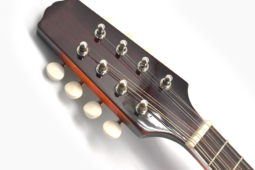 ZYMA-A1 Mandolin