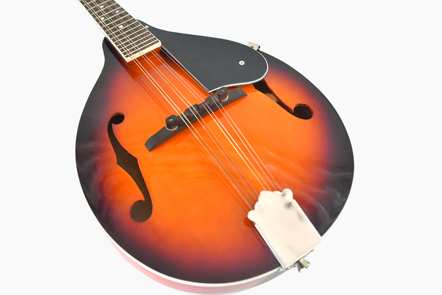 ZYMA-A1 Mandolin