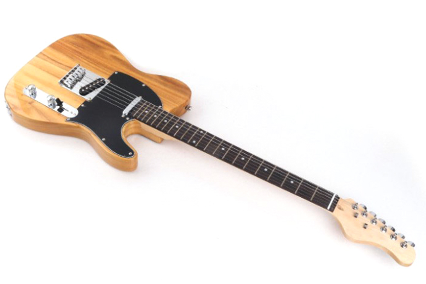 ZYEG-500 High grade TL electric guitar