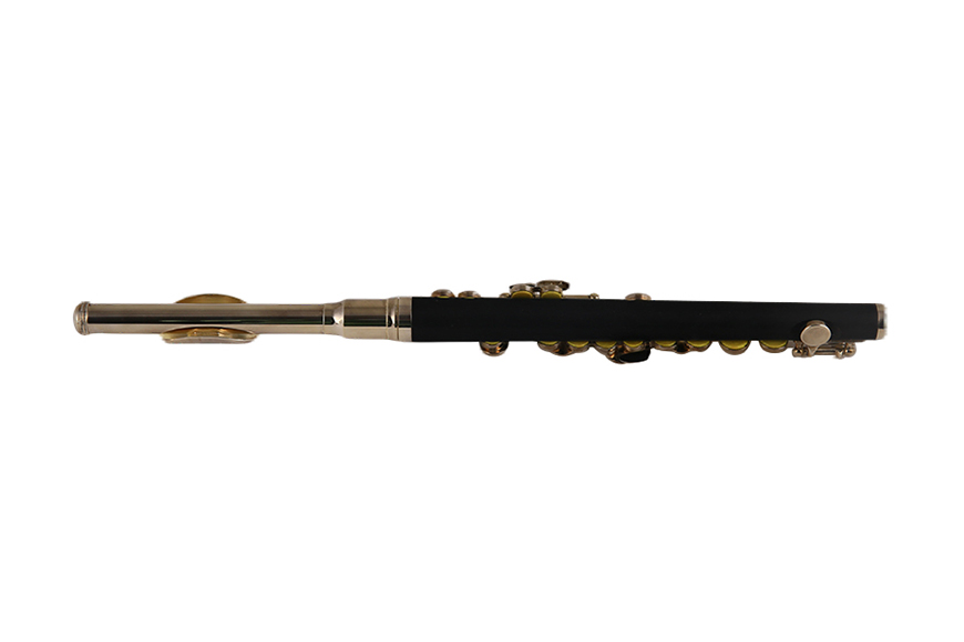 ZYPP-515S  Professional C tone Piccolo