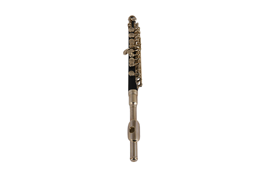 ZYPP-515S  Professional C tone Piccolo