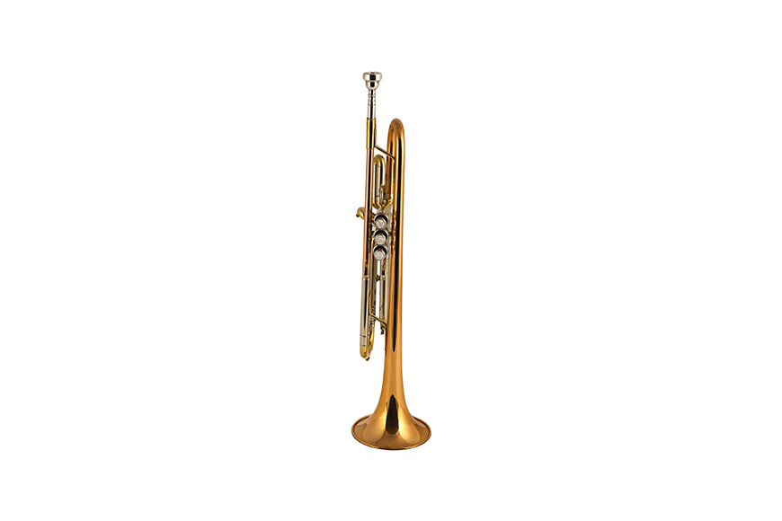 ZYTR-8334QSn Bb Standard Trumpet Set for Beginner, Brass Student Trumpet Instrument with Hard Case, Cleaning Kit, 7C Mouthpiece and Gloves