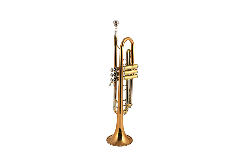 ZYTR-8334QSn Bb Standard Trumpet Set for Beginner, Brass Student Trumpet Instrument with Hard Case, Cleaning Kit, 7C Mouthpiece and Gloves