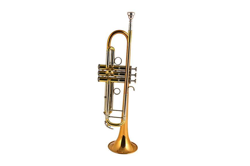 ZYTR-8334QSn Bb Standard Trumpet Set for Beginner, Brass Student Trumpet Instrument with Hard Case, Cleaning Kit, 7C Mouthpiece and Gloves