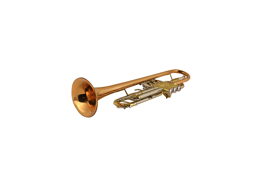 ZYTR-8334QSn Bb Standard Trumpet Set for Beginner, Brass Student Trumpet Instrument with Hard Case, Cleaning Kit, 7C Mouthpiece and Gloves