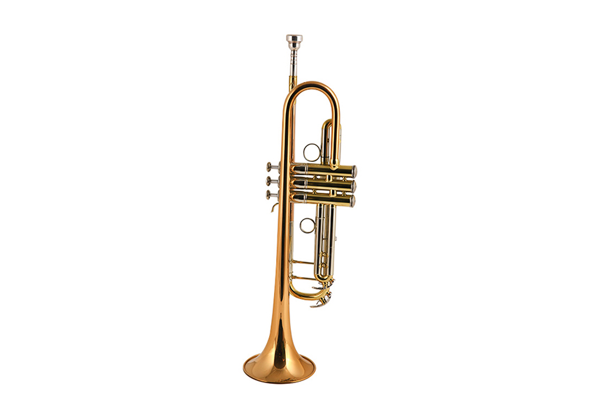 ZYTR-8334QSn Bb Standard Trumpet Set for Beginner, Brass Student Trumpet Instrument with Hard Case, Cleaning Kit, 7C Mouthpiece and Gloves