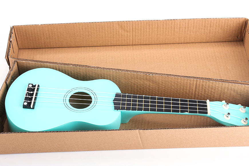 ZYUK-012 Soprano Ukulele 21 inch for Beginners