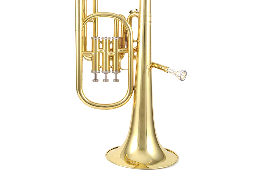 ZYAH-130 Professional alto horn for beginners