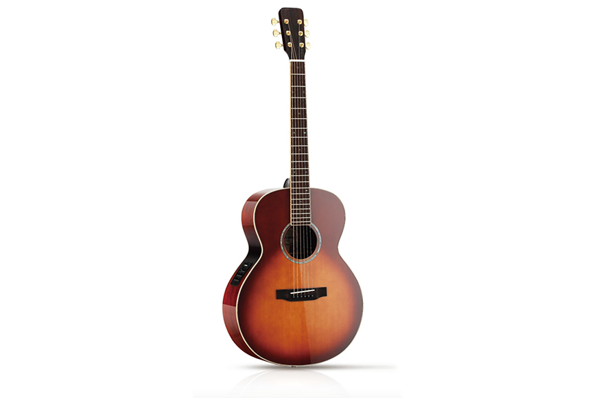 ZYGG-F1  High grade F type guitar with EQ