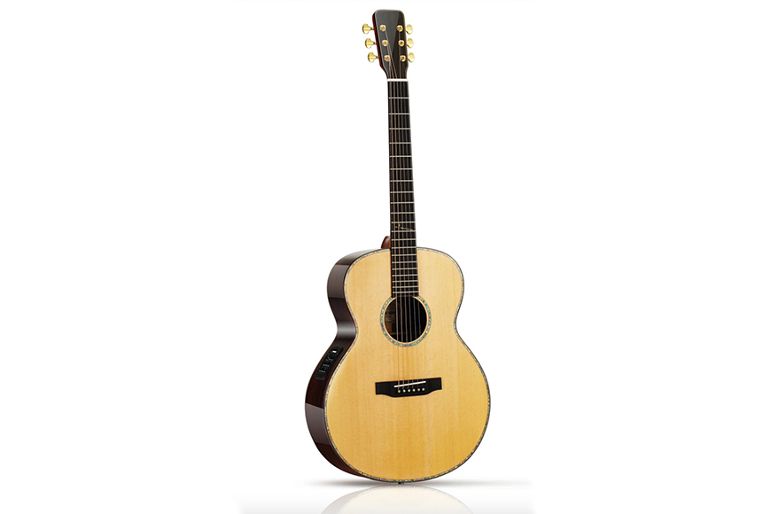 ZYGG-F1  High grade F type guitar with EQ