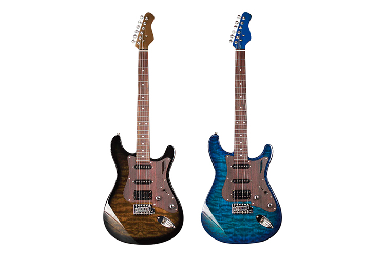 ZYEG-110 Electric guitar