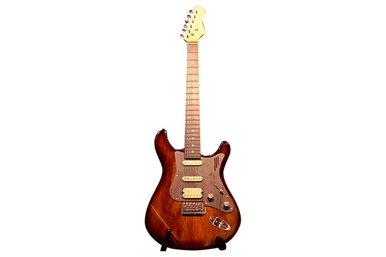 ZYEG-US-110PM  Electric guitar