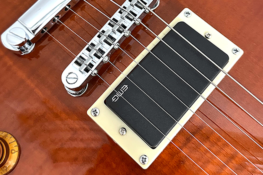 Electric Guitars  ZYNMCP-60F