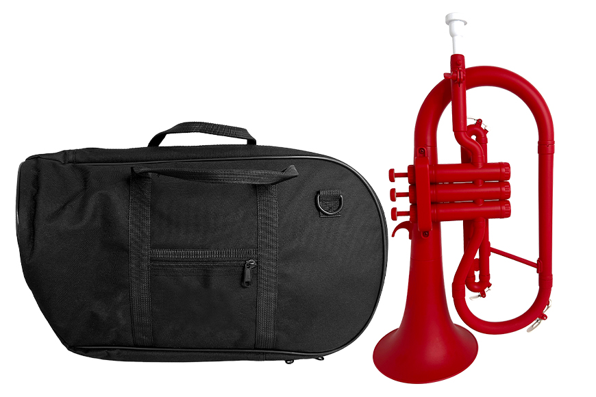 ZYLH-30 ABS Cornet